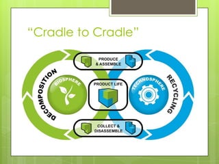 Sustainability Merit Badge
