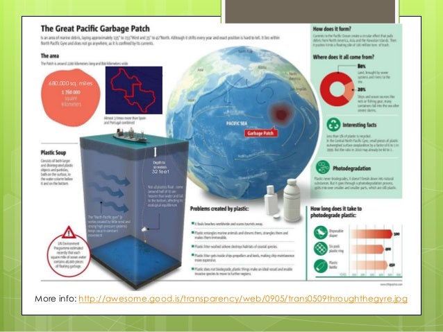 sustainability merit badge sustainability merit badge