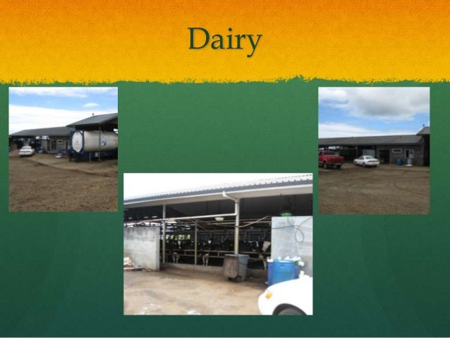 Big Island Dairy Hawaii Big Island Dairy Hawaii