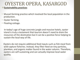 OYESTER OPERA, KASARGOD
Sustainability practices
• Mussel-farming practice which involved the local population in the
production.
• Oyster farming.
• Floating cottage.
In today’s age of huge concrete jungle and massive hotels, oyster
island is truly a testament that tourism doesn’t need to drain the
resources of the destination but it can be a positive force helping to
sustain the local way of life.
Oysters do not require additional feed inputs such as fish meal from
wild-capture fisheries. Instead, they filter-feed on tiny particles,
plankton, and organic matter found in the water column. Therefore,
oysters are self-sustaining and can actually improve local water
quality.
 