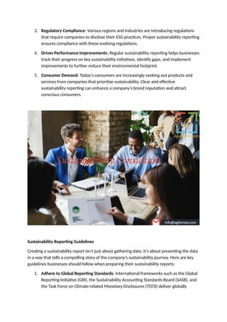 Sustainability Reporting Guidelines Guide Docx