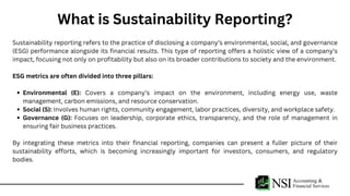 Sustainability Reporting and Its Growing Importance in Modern ...
