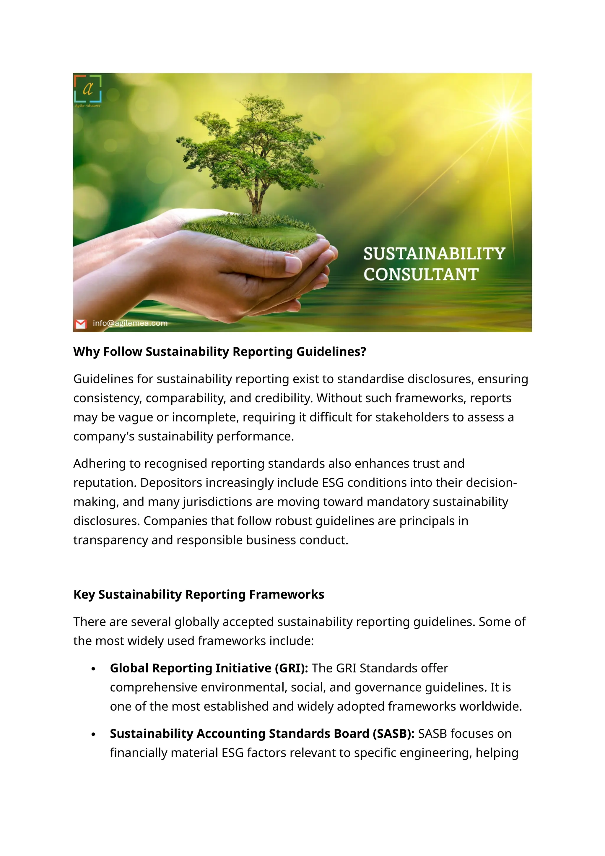 Sustainability Reporting Guidelines 22 Docx