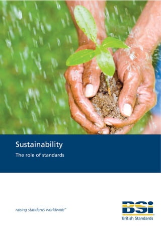 Sustainability
The role of standards




raising standards worldwide™
 