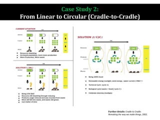Case Study 2:
From Linear to Circular (Cradle-to-Cradle)
Further details: Cradle to Cradle:
Remaking the way we make things, 2002.
 