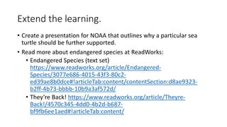 Extend the learning.
• Create a presentation for NOAA that outlines why a particular sea
turtle should be further supported.
• Read more about endangered species at ReadWorks:
• Endangered Species (text set)
https://www.readworks.org/article/Endangered-
Species/3077e686-4015-43f3-80c2-
ed39ae8b0dce#!articleTab:content/contentSection:d8ae9323-
b2ff-4b73-bbbb-10b9a3af572d/
• They’re Back! https://www.readworks.org/article/Theyre-
Back!/4570c345-4dd0-4b2d-b687-
bf9fb6ee1aed#!articleTab:content/
 