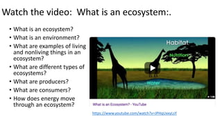• What is an ecosystem?
• What is an environment?
• What are examples of living
and nonliving things in an
ecosystem?
• What are different types of
ecosystems?
• What are producers?
• What are consumers?
• How does energy move
through an ecosystem?
Watch the video: What is an ecosystem:.
https://www.youtube.com/watch?v=JPHqUxxyLsY
 