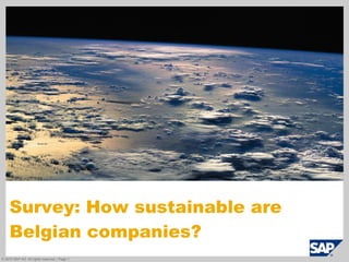 Survey: How sustainable are Belgian companies? 