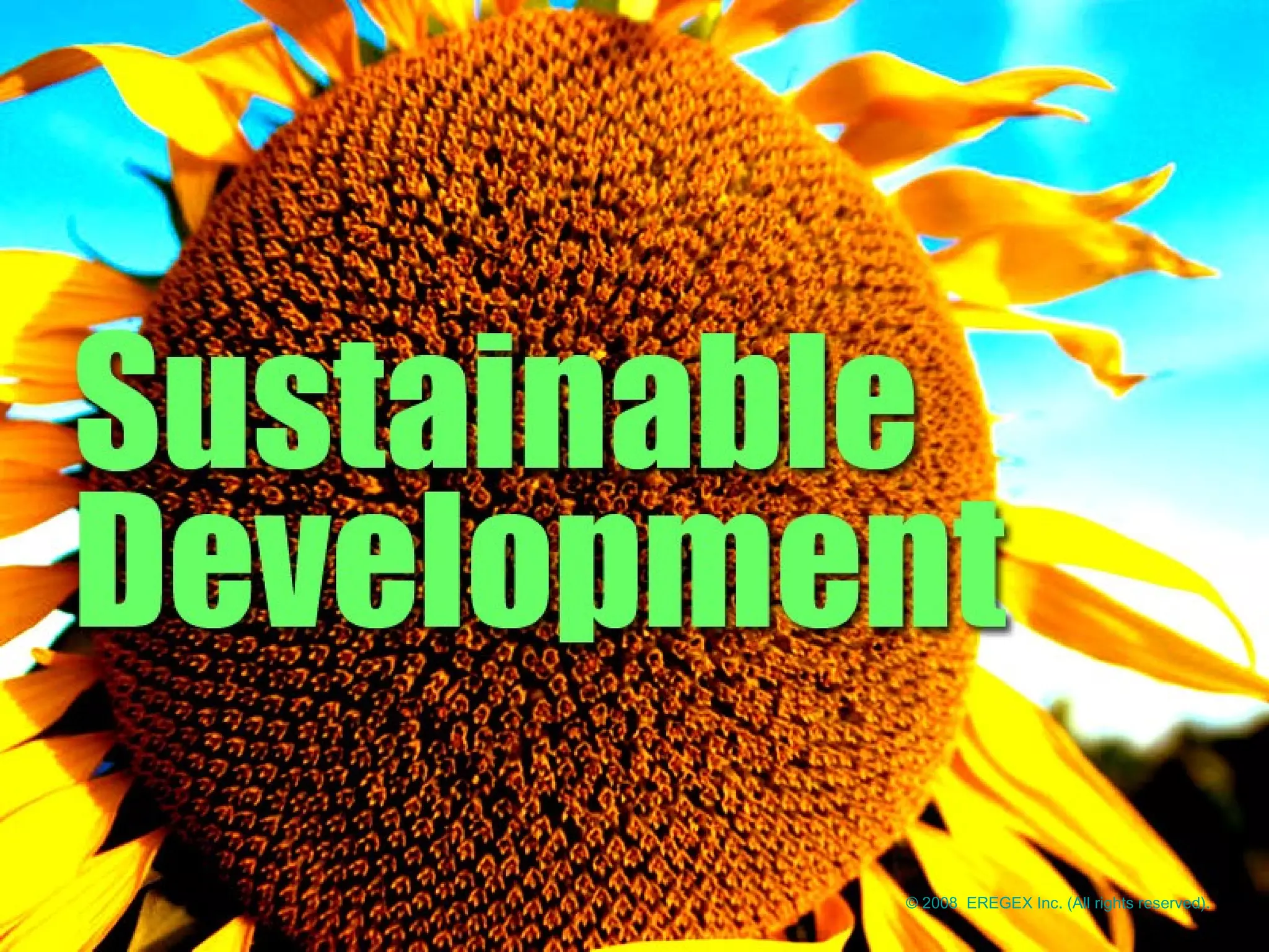 © 2008 EREGEX Inc. (All rights reserved).