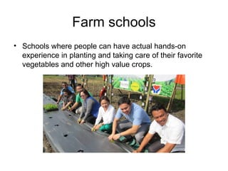 Farm schools
• Schools where people can have actual hands-on
experience in planting and taking care of their favorite
vegetables and other high value crops.
 