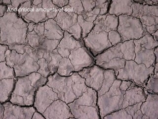 Sustainable Food Lab