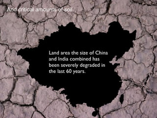 Sustainable Food Lab