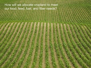 Sustainable Food Lab