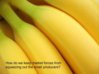 Sustainable Food Lab