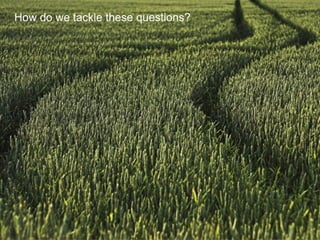 Sustainable Food Lab