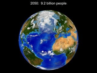 Sustainable Food Lab