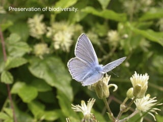 Sustainable Food Lab