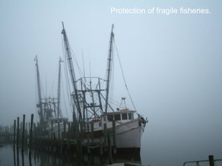 Sustainable Food Lab