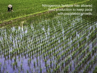 Sustainable Food Lab