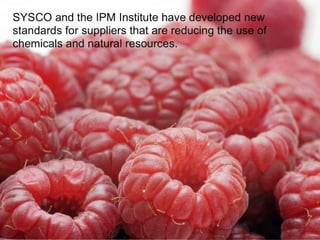 Sustainable Food Lab