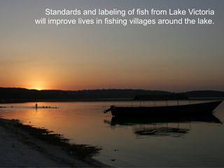 Sustainable Food Lab