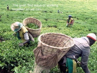 Sustainable Food Lab