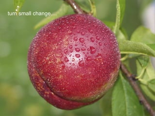 Sustainable Food Lab