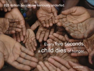 Sustainable Food Lab