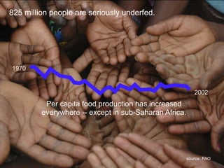 Sustainable Food Lab