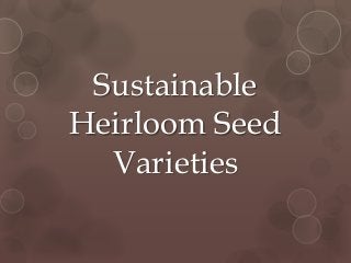 Sustainable
Heirloom Seed
Varieties
 