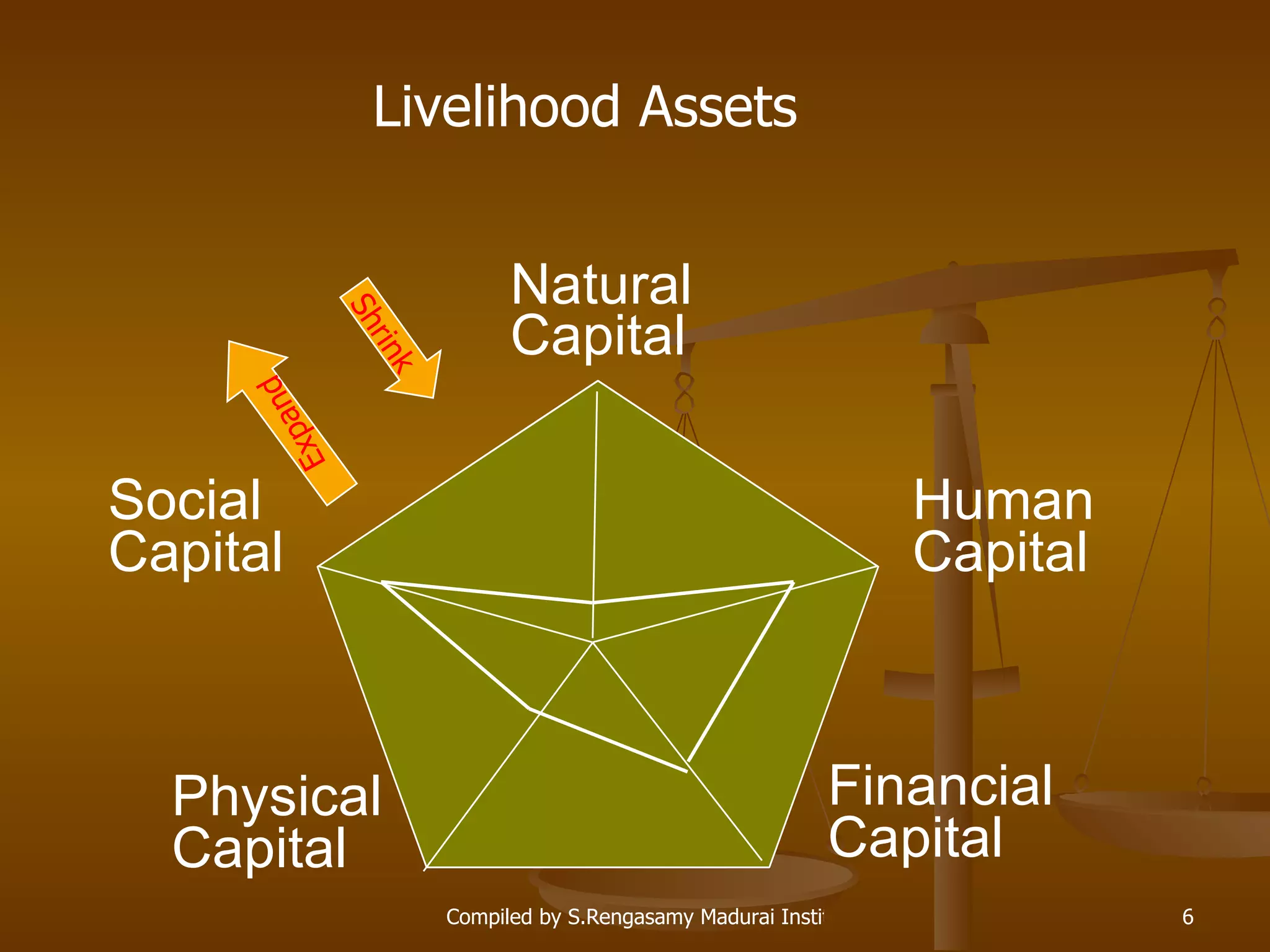 Financial   Capital Human Capital Social  Capital Physical  Capital Livelihood Assets  Natural Capital Shrink Expand 