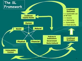 The SL Framework Livelihood Capital Assets Human Social Physical Financial Natural Vulnerability Context Livelihood Strategies Policies & Institutions Government Socio-Cultural Livelihood Outcomes + Sustainable use of NR base  + Income + Well-being - Vulnerability + Food security 