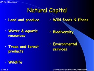Natural Capital Land and produce Water & aquatic resources Trees and forest products Wildlife Wild foods & fibres Biodiversity Environmental services Slide 4 IFAD SL Workshop Sustainable Livelihoods Framework 