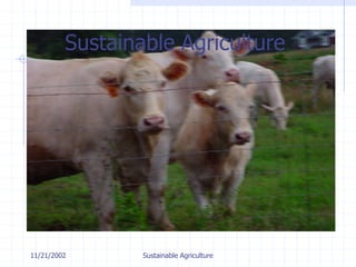 11/21/2002 Sustainable Agriculture
Sustainable Agriculture
 