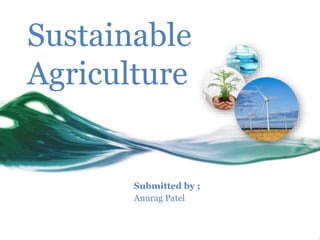 Sustainable
Agriculture
Submitted by ;
Anurag Patel
 