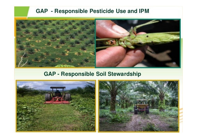 Fao Organic Agriculture Environment And Food Security Fao Organic Agriculture Environment And Food Security