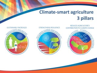 Sustainable agriculture, food security and climate change | PDF