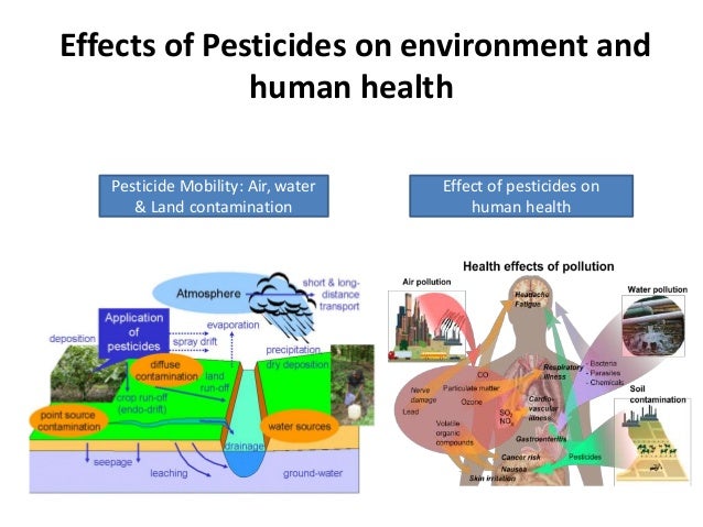 Sustainable agriculture land management wan miana