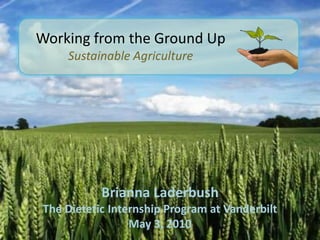 Working from the Ground Up Sustainable Agriculture Brianna Laderbush The Dietetic Internship Program at Vanderbilt May 3, 2010 