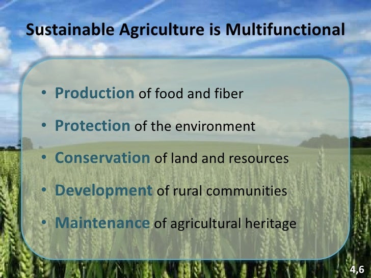 Sustainable Agriculture Presentation