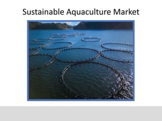 Sustainable Aquaculture Market
 