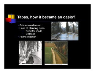 Tabas, how it became an oasis?

• Existence of water
• Love of planting trees
    • Need for shade
    • Distance
• Farms irrigation
 