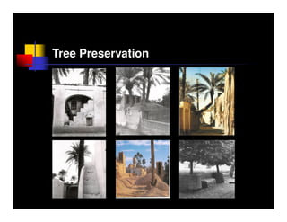Tree Preservation
 