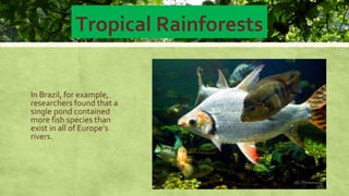 Flow Chart Worksheet-
Rainforests
Page 51 of textbook
 