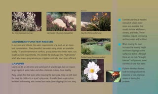 Billy Goodnick




                                                                                                                                      Consider planting a meadow
                                                                                                                                      instead of a lawn; seed
                                                                                                                                      mixes are available that
                                                                                                                                      usually include wildflowers,
Tea Tree (Leptospermum sp.)               Germander (Teucrium chamaedrys)        Day Lily (Hemerocallis fulva)                        clovers, and herbs. These
                                                                                                                                      meadows require no mowing,
                                                                                 County Landscape and Design
                                                                                                                                      and less water and fer tilizer.
CONSIDER WATER NEEDS
In our semi-arid climate, the water requirements of a plant are an impor-                                                             When mowing the lawn,
tant consideration. Many beautiful, low-water using plants are available                                                              increase the mowing height
locally. To avoid maintenance conflicts, group plants with similar water, sun,                                                        and leave clippings on the
shade and soil requirements. This divides the landscape into “hydrozones”                                                             surface as mulch. Although
which also makes programming an irrigation controller much more efficient.       Matilija Poppy (Romneya coulteri)                    there are no truly “drought
                                                                                                                                      tolerant” turf grasses, some
LAWNS                                                                                                                                 varieties do use less water.
Lawns can be an attractive and useful part of a landscape, but can require
                                                                                                                                      If plants develop disease,
large inputs of water, labor and often chemicals to keep them healthy.                                               Max E. Badgley
                                                                                                                                      look for biological controls
Many people find that even while reducing the lawn area, they can still meet                                                          (insects) or non-chemical
the need for children’s or a pet’s play area. A smaller lawn requires less                                                            means of easing the
fertilizer and mowing, and creates less waste (lawn clippings) to haul away.                                                          problem.
 