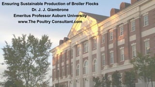 Ensuring Sustainable Production of Broiler Flocks
Dr. J. J. Giambrone
Emeritus Professor Auburn University
www.The Poultry Consultant.com
 
