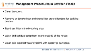 Sustainable broiler house production | PDF