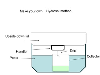 Make your own
Upside down lid
Peels
Handle
Collector
Drip
Hydrosol method
 