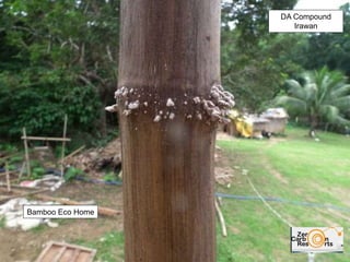 DA Compound
Irawan
Bamboo Eco Home
 