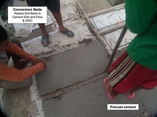 Conversion Beds
Raised Soil Beds to
Cement Ebb and Flow
& DWC
Precast cement
 
